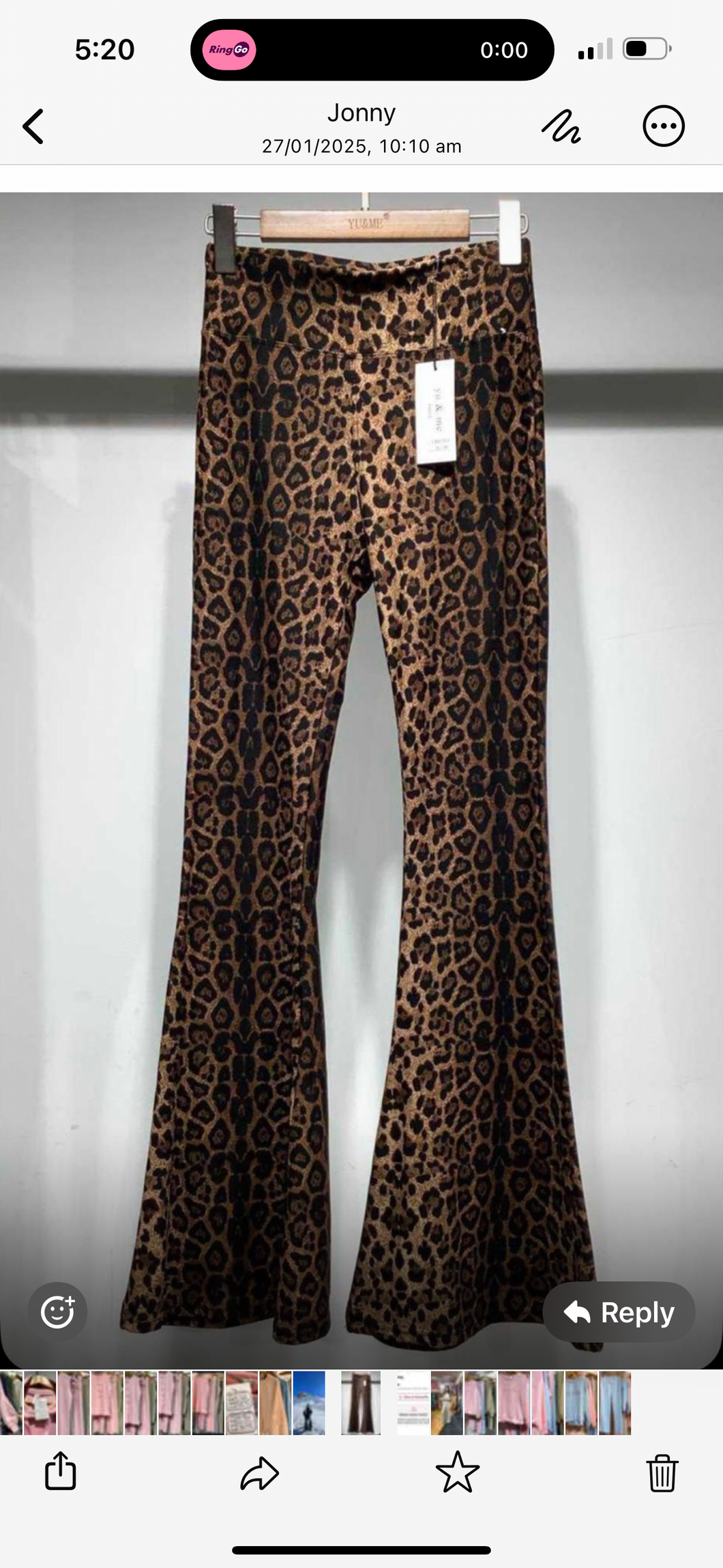 Leo ~ Leopard Flare Pants